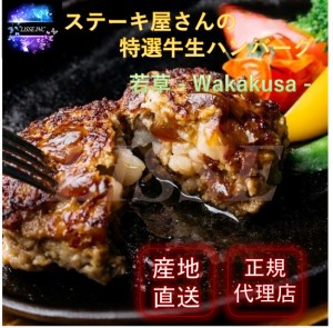 ステーキ屋さんの特選牛生ハンバーグ 若草 特選ハンバーグ150g×４ ソース300g ハンバーグ こだわり 無添加 送料無料 産地直送 正規代理