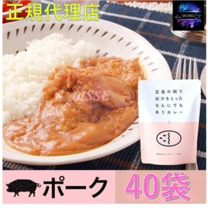 五島の鯛で出汁をとったなんにでもあうカレー ポーク 40袋セット ギフト お取り寄せ グルメ 贈り物 お祝い 送料無料 産地直送 正規代理店