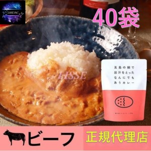 五島の鯛で出汁をとったなんにでもあうカレー ビーフ 40袋セット ギフト お取り寄せ グルメ 贈り物 お祝い 送料無料  産地直送 正規代理