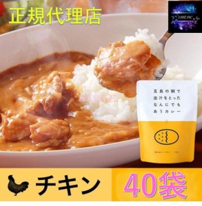 五島の鯛で出汁をとったなんにでもあうカレー チキン 40袋セット ギフト お取り寄せ グルメ 贈り物 お祝い 送料無料 産地直送 正規代理店