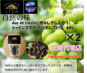 duo de raisins(枝なし干しぶどう）シャインマスカットの干しブドウ 60g×2 大粒 高級 レーズン ギフト フルーツのいとう園 産地直送 正