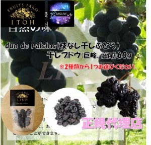 duo de raisins(枝なし干しぶどう) 選べる 巨峰、高尾、ピオ−ネ 60g 巨峰 大粒 レーズン ギフト おつまみ フルーツのいとう園 産地直送 