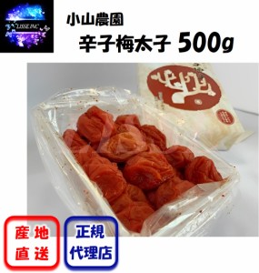 辛子梅太子 500g 唐辛子×梅干！ お酒の肴に 辛い梅 贈答用 南高梅 お歳暮 敬老の日 御中元 やみつき 令和 産直直送 小山農園 正規代理店