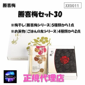 勝喜梅セット30 選べるごはんの友セット (ごはんの友2袋、勝喜梅シリーズ1点) XX0011 お中元 お歳暮 ギフト 贈り物 勝喜梅 産地直送 正規