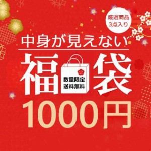 【2024 福袋】即納 福袋3点入り（1,000円）春夏秋冬服・小物の福袋 シークレット 謎 送料無料 インナートップス 裏起毛靴下 ショーツ 100