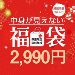 【2024 福袋】福袋3点入り 春夏秋冬服・小物の福袋 シークレット 謎 送料無料 インナートップス 裏起毛靴下 ショーツ タンクトップ Ｔシ