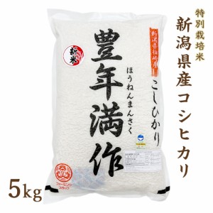 令和5年度産 新潟県産 コシヒカリ 5kg 特別栽培米 こしひかり 真空パック 精米