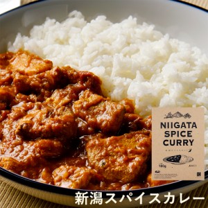 父の日 レトルトカレー 新潟スパイスカレー 180g(1人前) 本格スパイスカレー オリジナル 新潟ブランド豚使用 岩船豚