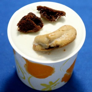カップアイス アイスクリーム ジェラート マミークッキー＆ビスコッティークリーム  クッキーバニラのやさしい味　時折りチョコチップの