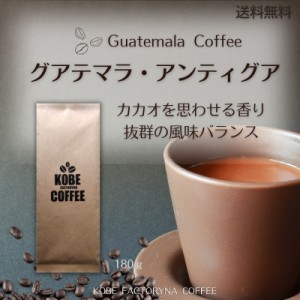 カカオを思わせる風味 グアテマラ アンティグア スペシャルティーコーヒー ザ・シティー 180g 送料無料 コーヒー豆 中煎り 自家焙煎