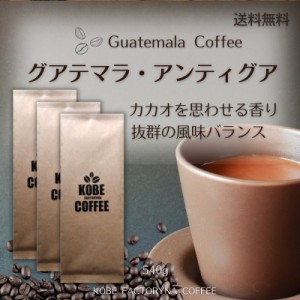 カカオを思わせる風味 グアテマラ アンティグア スペシャルティーコーヒー ザ・シティー 540g 送料無料 コーヒー豆 中煎り 自家焙煎