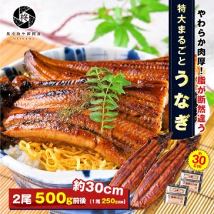  特大うなぎ 蒲焼き 2尾 500g 前後 (タレ 山椒 付) 送料無料 お取り寄せグルメ ギフト 贈り物 通販 冷凍食品 父の日