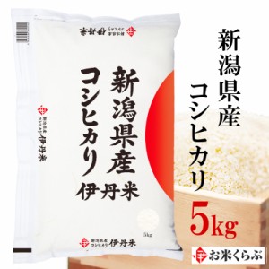 精米 5kg お米 令和5年産 新潟県産 コシヒカリ 内祝い 熨斗承ります こしひかり 送料無料 白米 