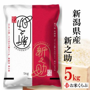 精米 5kg 令和5年産 新潟県産 新之助 内祝い 熨斗承ります しんのすけ 送料無料 白米 