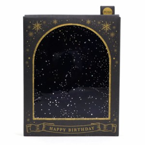 バースデーカード ライト付きメロディカード P107 星座図 電池交換可能 サンリオ 十二星座 ♪Jupiter Birthday Card グリーティングカー