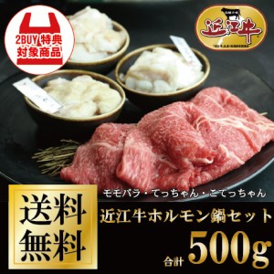 近江牛ホルモン鍋セット 計500g お家ごはん ご褒美 牛肉 御祝 ギフト 送料無料