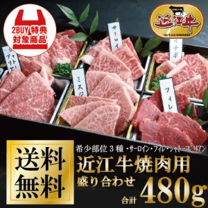 近江牛焼肉6種盛り合わせ　計480g お家でBBQ ご褒美 牛肉 御祝 ギフト 送料無料