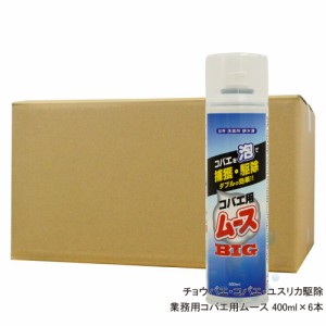 浄化槽害虫 チョウバエ コバエ駆除スプレー 業務用コバエ用ムース 400ml 増量タイプ×6本 排水口 生ゴミ ショウジョウバエ対策