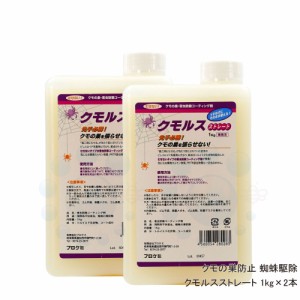 クモの巣防止 蜘蛛駆除 クモルスストレート 1kg×2本 蜘蛛の巣を張らせない コーティング剤 【送料無料】