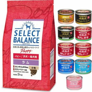 セレクトバランス パピー ラム 小粒 子犬・母犬用 3kg【犬想いオリジナルセット 】【デビフ150g缶詰 1缶プレゼント】