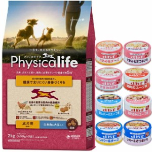 フィジカライフ (Physicalife) 成犬用 白身魚＆大豆入り 2kg【犬想いオリジナルセット 】【デビフ85g缶詰 1缶プレゼント】