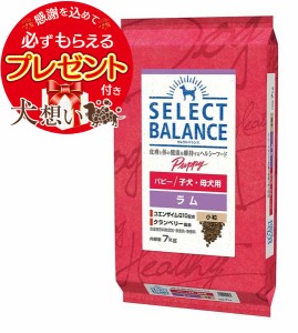 セレクトバランス パピー ラム 小粒 子犬・母犬用 7kg