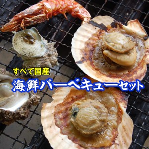 【送料無料】ホタテ（片貝）とサザエの海鮮バーベキューセット【冷凍】　※北海道・東北・沖縄県へのお届けは別途送料がかかります