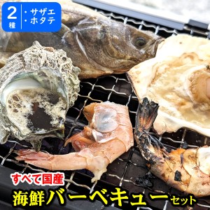 【送料無料】ホタテ（片貝）とサザエの海鮮バーベキューセット【冷凍】　※北海道・東北・沖縄県へのお届けは別途送料がかかります