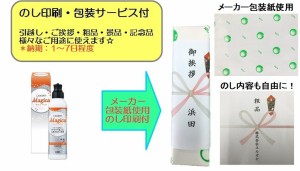 CHARMY Magica 酵素+ フルーティオレンジの香り220ml ギフト化粧箱入 のし印字＆包装サービス付