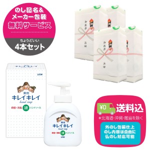 ４セット ライオン キレイキレイ薬用液体ハンドソープ 250ml 化粧箱入 のし印字＆包装サービス付 送料込み価格(一部地域を除く) 引越し 