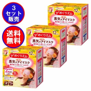 めぐりズム 蒸気でホットアイマスク 完熟ゆずの香り 12枚入×3箱 合計36枚 まとめ買い3箱セット