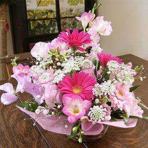 送料無料 今月はこのお花を贈ろう♪「ピンクフリージアのメント」　《 誕生日 結婚記念日 発表会 送別会 歓送迎会 歳祝い 》 ポイント消