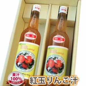 りんごジュース りんご 紅玉 贈答 送料無料 山形 リンゴ 贈答用 紅玉 りんご汁　550ml　２本入り 山形県大江町産 美味日本 カロリー 値段