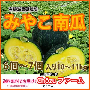 かぼちゃ カボチャ 【 みやこかぼちゃ みやこ南瓜 通販  送料無料 10kg 】 国産 特徴 レシピ 栽培 旬 種 品種  有機 かぼちゃの種 北海道