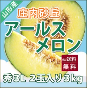 メロン 送料無料 【 アールスメロン 秀３Ｌ ２個入り  庄内砂丘 】 秀 高級 化粧箱 2L アンデス メロン 品種 直売所 時期 価格 旬 フルー