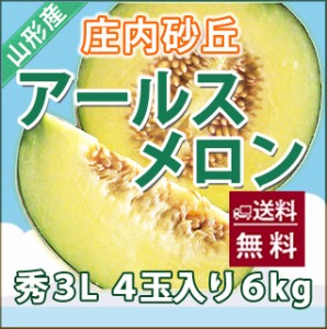 メロン 送料無料 【 アールスメロン 秀３Ｌ ４個入り  庄内砂丘 】 秀 高級 化粧箱 2L アンデス メロン 品種 直売所 時期 価格 旬 フルー