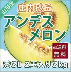 メロン 送料無料 【 アンデスメロン 秀３Ｌ ２個入り  庄内砂丘 】 秀 高級 化粧箱 2L アンデス メロン 品種 訳あり 農産物 プレゼント 