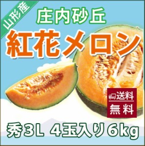 メロン 送料無料 【 紅花メロン アンデスメロン 秀３Ｌ ４個入り  庄内砂丘 】 秀 高級 ト 化粧箱 2L アンデス メロン 品種 時期 価格 旬