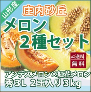 メロン 送料無料 【 食べ比べセット 紅花メロン アンデスメロン 秀３Ｌ 各１個　計２個入り  庄内砂丘 】 秀 高級 ト 化粧箱 2L アンデス