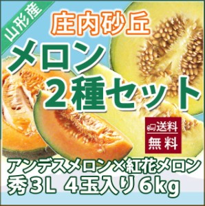 メロン 送料無料 【 食べ比べセット 紅花メロン アンデスメロン 秀３Ｌ 各2個　計４個入り  庄内砂丘 】 秀 高級 ト 化粧箱 2L アンデス 