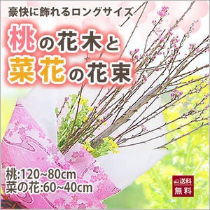 桃の節句 ひな祭り ひなまつり 【 桃の花 菜の花 花束 ロングサイズ 120ｃｍ 】 初節句 雛祭り 飾り 桃の節句フェア おしゃれ ギフト お