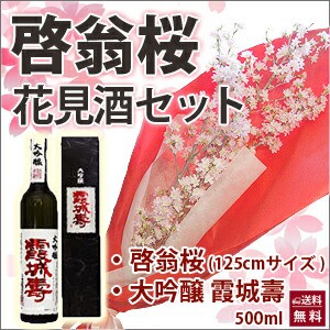 啓翁桜 桜 花束 山形 卒業 お花見 桜と日本酒 花見酒セット 120cm 豪快に飾れるサイズ 4〜5本 お歳暮 自宅でお花見 送別 花束 プレゼント