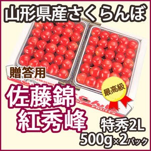 さくらんぼ 佐藤錦 又は 紅秀峰 特秀２L 1kg 丸勘さくらんぼ ＮＯ１山形 贈答 ギフト 送料無料 プレゼント チェリー お中元 サクランボ 