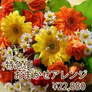 花 ギフト プレゼント バレンタイン ホワイトデー 【 フラワー特急便 当日届く PM1時までの受付 22,880円 】  花キューピット 花束 フラ