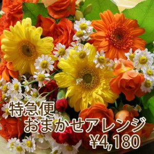 花 ギフト プレゼント バレンタイン ホワイトデー 【 フラワー特急便 当日届く PM1時までの受付 4,180円 】  送別 卒業 お供え アレンジ