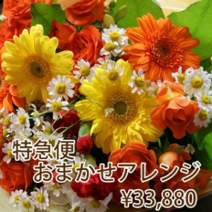 花 ギフト プレゼント バレンタイン ホワイトデー 【 フラワー特急便 当日届く PM1時までの受付 33,880円 】  花キューピット 花束 フラ