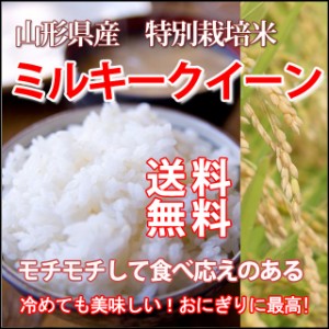 令和6年 2024年 予約 新米 ミルキークイーン 米 新米 新米令和元年 白米 5kg 送料無料 山形 山形県 新米予約 令和新米 お米 5キロ 農産物