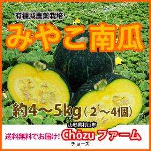 かぼちゃ カボチャ 【 みやこかぼちゃ みやこ南瓜 通販  送料無料 5kg 】 国産 特徴 レシピ 栽培 旬 種 品種  有機 かぼちゃの種 北海道 