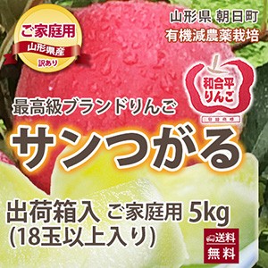 つがる りんご 訳あり 送料無料 【 ご家庭用 サンつがるりんご 5kg 満杯詰め  】 リンゴ 葉取らずりんご 山形 有機低農薬栽培 山形 朝日