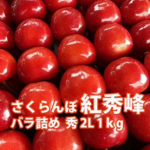 さくらんぼ 紅秀峰 山形 贈答 ギフト 送料無料 【 秀２Ｌ 1kg  ばら詰め 佐藤N (BS-003) 】 プレゼント チェリー お中元 サクランボ お中